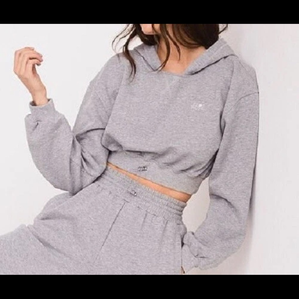 For Love & Lemons Gray Cropped Hoodie Sweatshirt